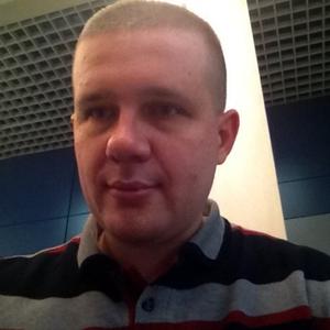 Николай, 39 лет, Курск