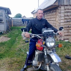 Дима, 41 год, Ижевск