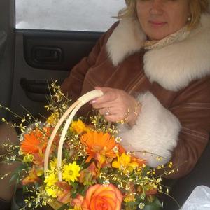 Елена, 68 лет, Раменское