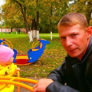 Иван Старостин, 41 год, Алатырь