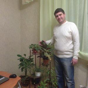 Денис Степанов, 44 года, Железногорск