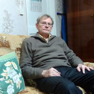 Вячеслав, 81 год, Струнино