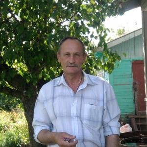 Михаил, 62 года, Волосово