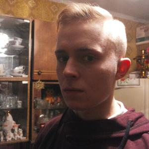 Никита, 29 лет, Ярославль