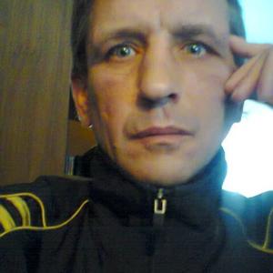 Андрей Красиков, 50 лет, Воронеж