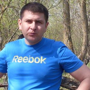 Дмитрий, 44 года, Гомель