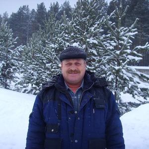 Сергей Телегин, 65 лет, Екатеринбург