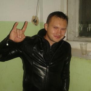 Александр, 38 лет, Щекино