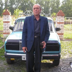 Михаил, 65 лет, Бийск