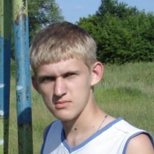 Алексей , 27 лет, Курск