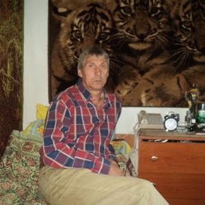 Владимир , 62 года, Томск