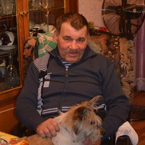 Вячеслав Васильченко, 68 лет, Арсеньев