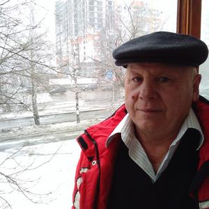 Володя, 69 лет, Ижевск