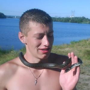 Алексей, 33 года, Курск