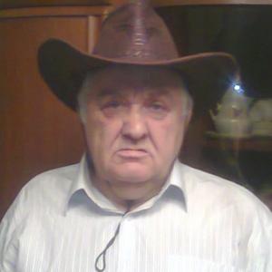Pavel, 75 лет, Кемерово