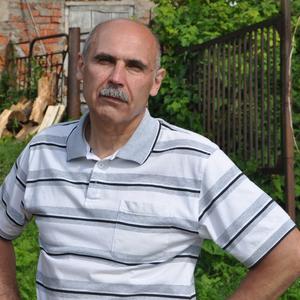 Андрей, 67 лет, Электросталь