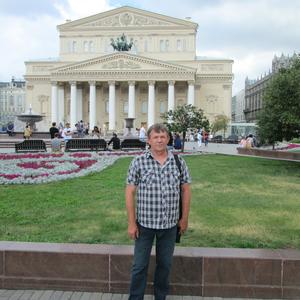 Александр Дорошенко, 60 лет, Брянск