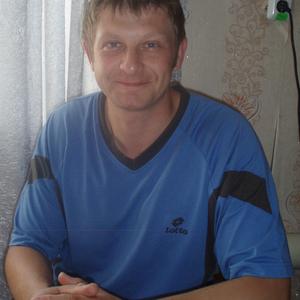 Андрей, 46 лет, Чайковский