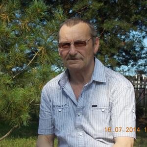 Василий, 70 лет, Плесецк