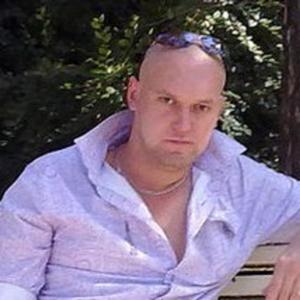 Василий Савельев, 42 года, Снежинск