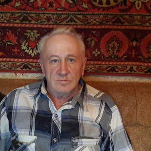 Виктор, 66 лет, Елабуга