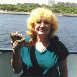 Лариса, 65 лет, Знаменск