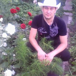 Рамиль, 38 лет, Димитровград