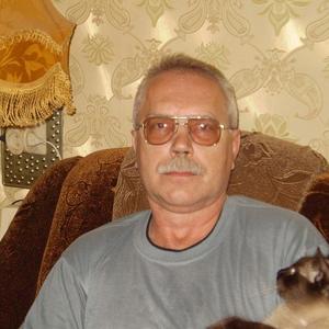 Сергей Королёв, 68 лет, Чапаевск