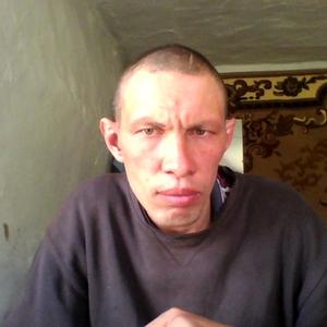 Богдан, 41 год, Бийск