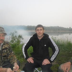 Владимир, 43 года, Болотное