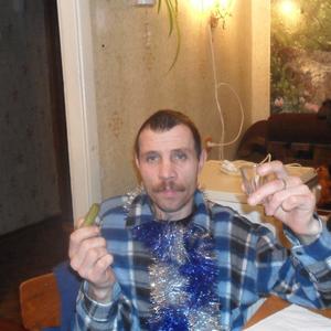 Алексей Никитин, 49 лет, Мурманск