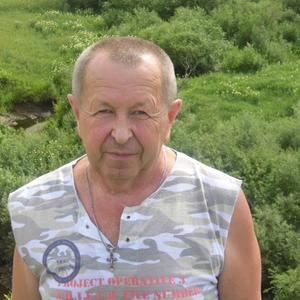 Николай, 68 лет, Кемерово