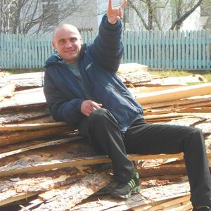 Андрей Сафронов, 49 лет, Серов
