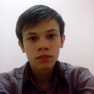 Стас, 26 лет, Тольятти