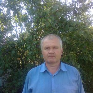 Виталий Тимофеев, 66 лет, Липецк