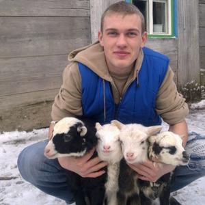 Александр, 33 года, Белгород