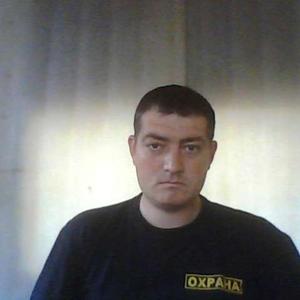 Петор, 39 лет, Михайловка