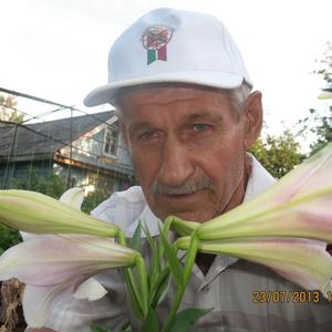 Виктор, 84 года, Казань