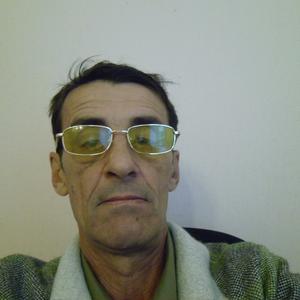 Александр Сальников, 66 лет, Тула