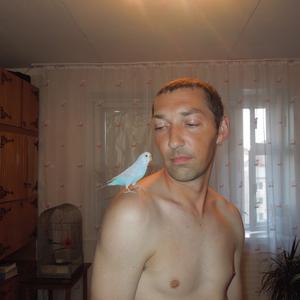 Антон, 45 лет, Киселевск