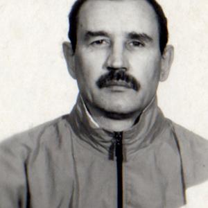 Михаил Бобриков, 72 года, Соликамск