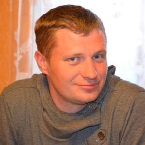 Сергей Плахов, 39 лет, Брянск