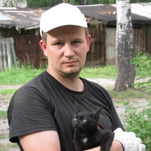 Андрей, 41 год, Муром