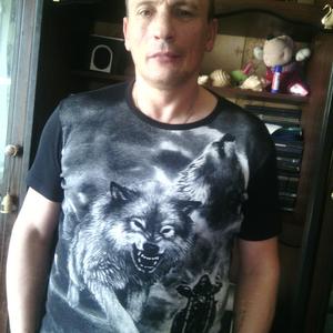 Александр Штырев, 55 лет, Ивантеевка