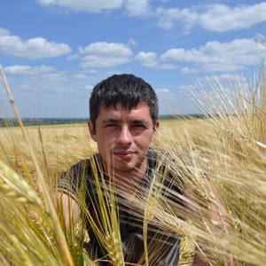 Парни в Губкине: Алексей, 35 - ищет девушку из Губкина