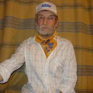 Валерий, 71 год, Череповец