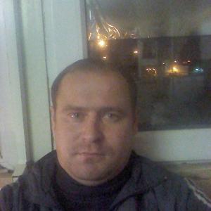 Дмитрий, 41 год, Нерехта