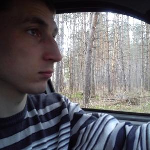 Андрей, 30 лет, Димитровград