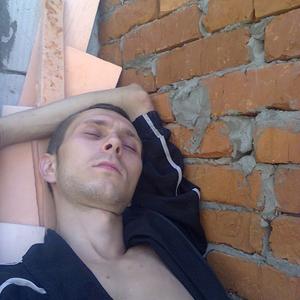 Дмитрий Шевченко, 33 года, Белгород