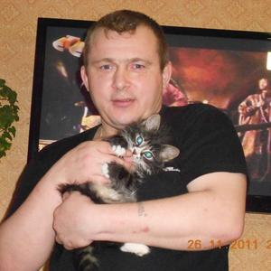 Николай, 49 лет, Апатиты